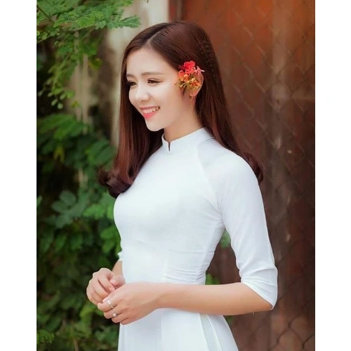 Le nguyen 